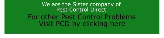 PCD2 PCD2